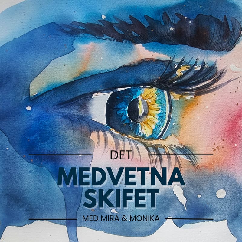 Cover Image for Det medvetna skiftet