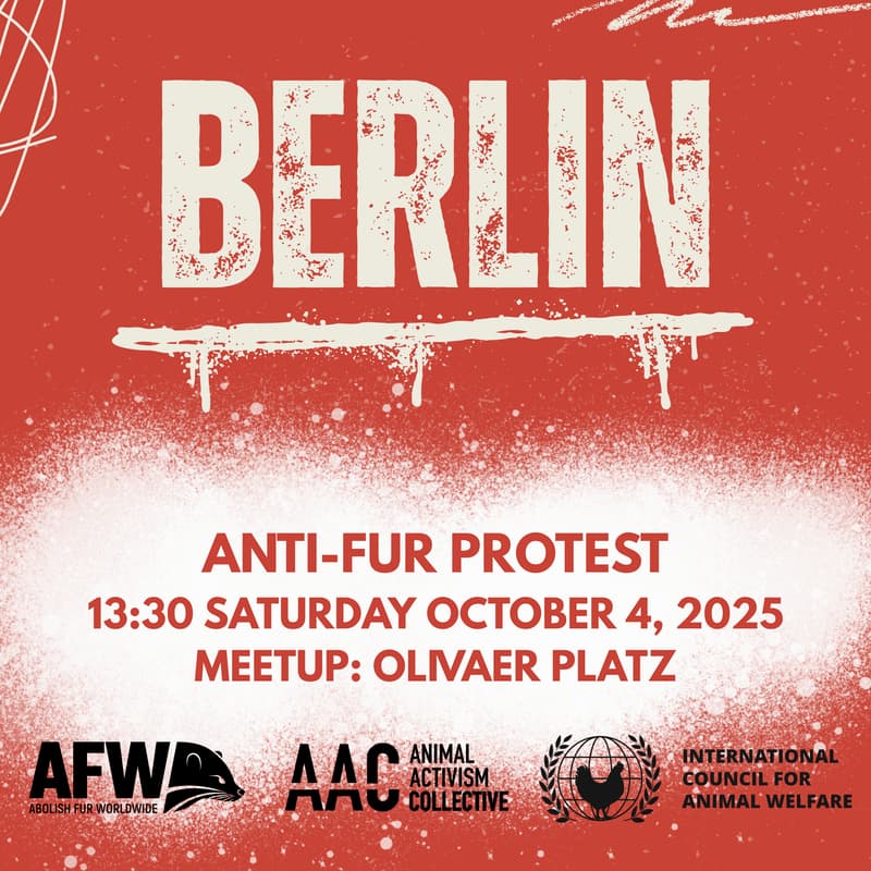 Cover Image for Berlin: Anti-fur protest