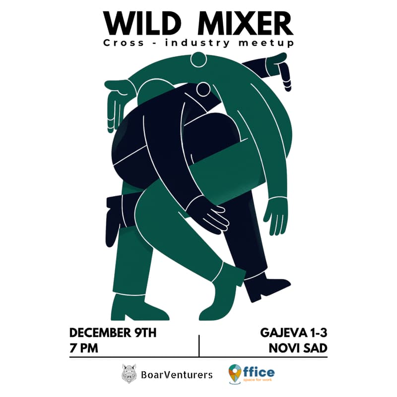 Cover Image for Wild Mixer - Novi Sad