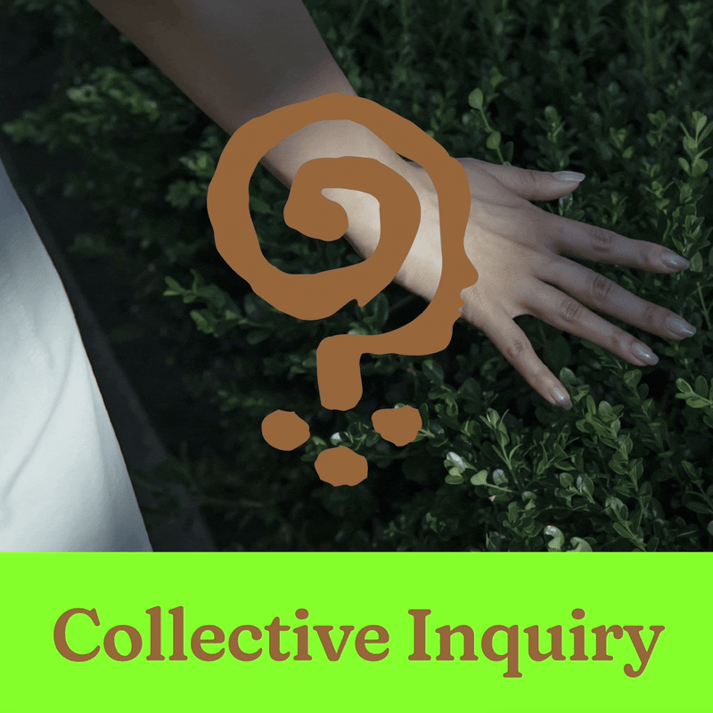 Cover Image for Collective Inquiry 02: Fitness and Culture