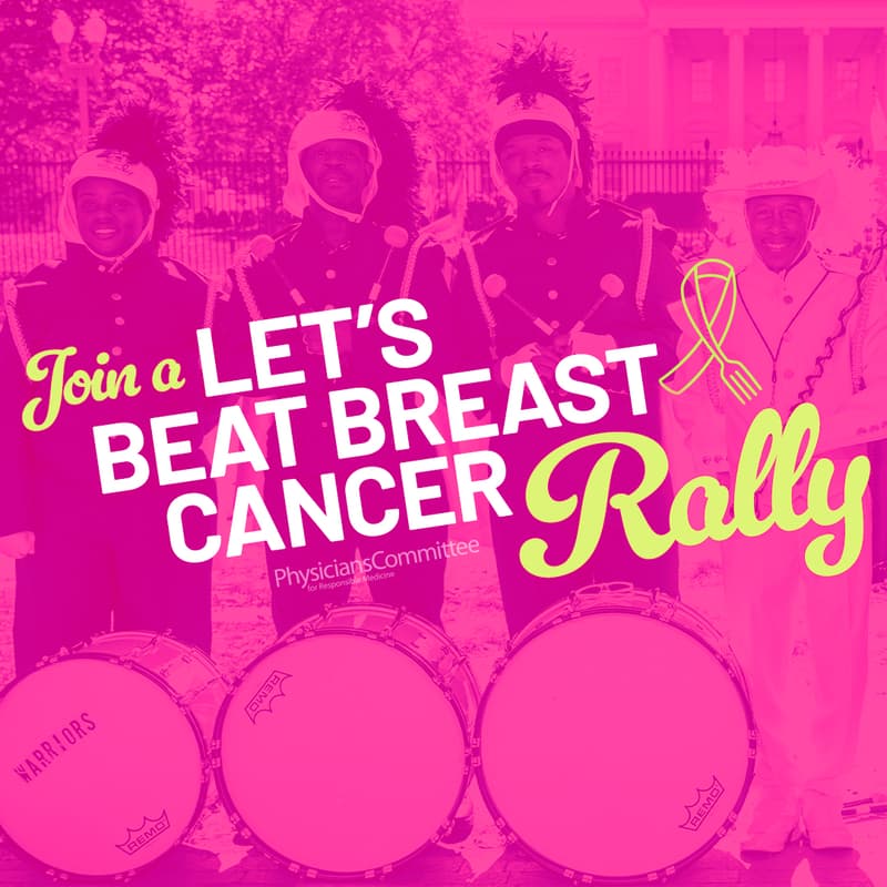 Cover Image for Let’s Beat Breast Cancer Rally / Caminata Venzamos el Cáncer de Mama-Bronx 2025