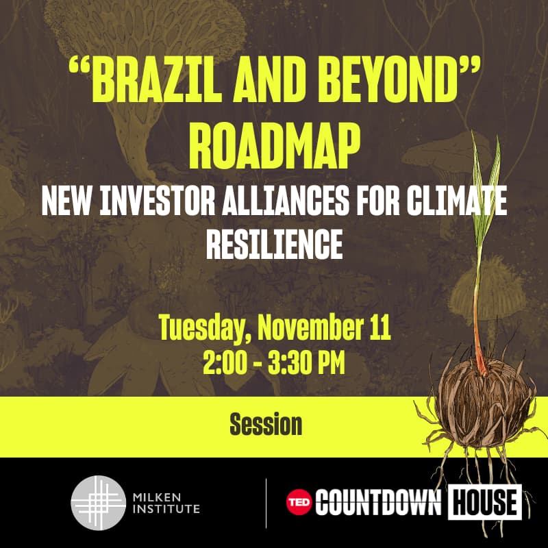 Cover Image for “Brazil and Beyond” Roadmap: New investor alliances for climate resilience