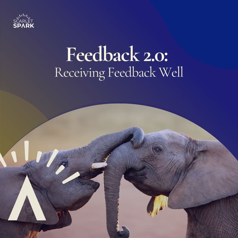 Cover Image for Feedback Skills 2.0: Receiving Feedback Well