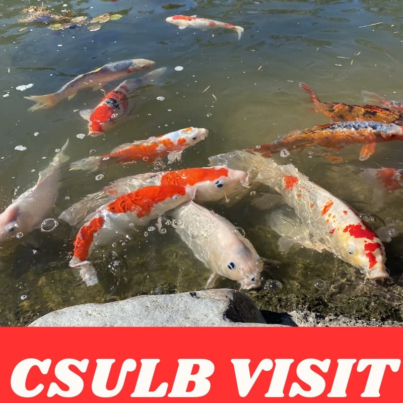 Cover Image for CSULB Visit