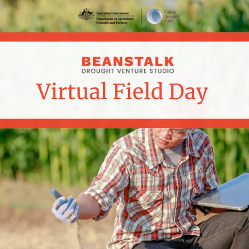 Cover Image for Beanstalk Drought Venture Studio Virtual Field Day: Bridging The Gap
