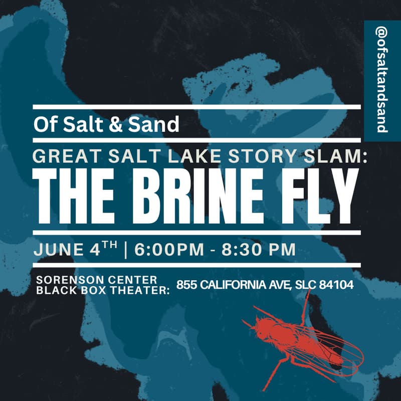 Cover Image for The Brine Fly: Great Salt Lake Story Slam