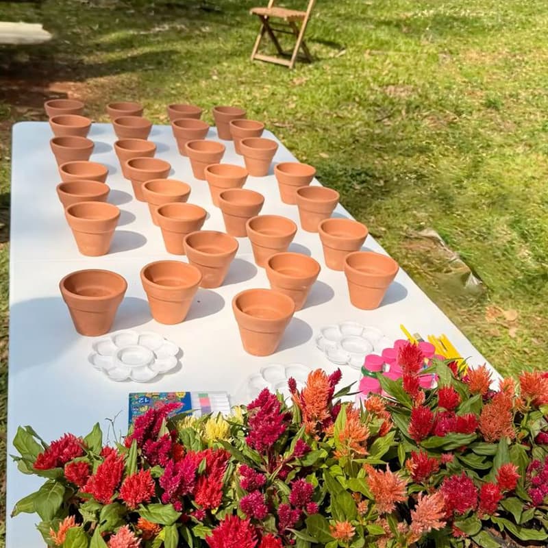 Cover Image for Pinte e plante🌼🖌️