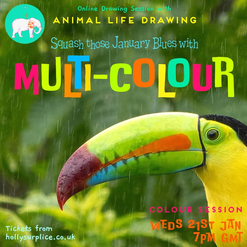 Cover Image for 'Multi'- Colour Drawing Session