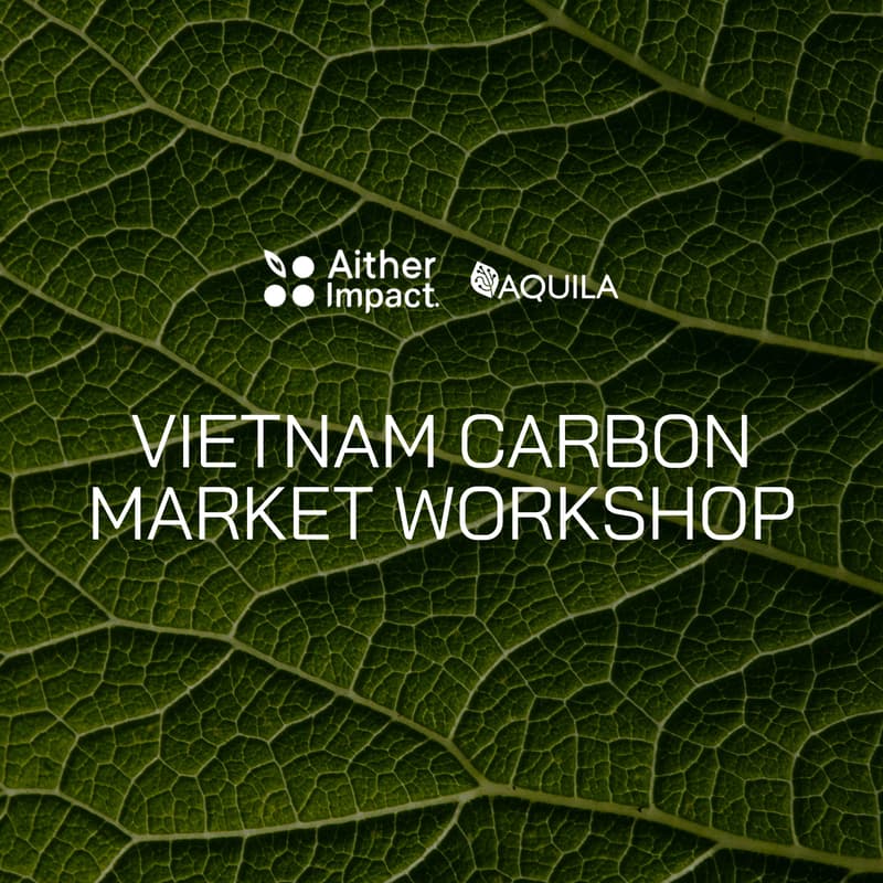 Cover Image for Vietnam Carbon Market Workshop