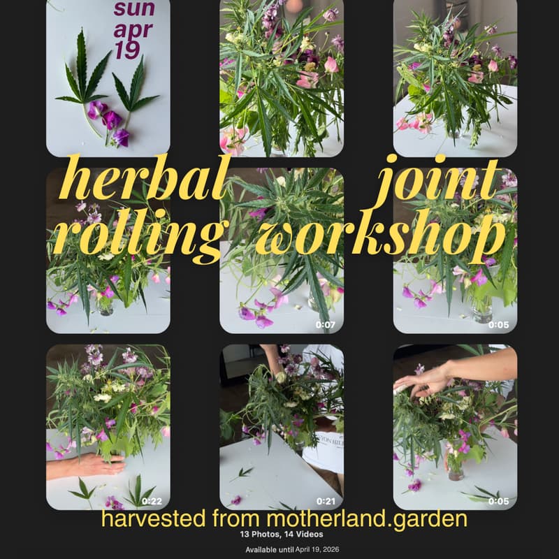 Cover Image for herbal joint rolling workshop