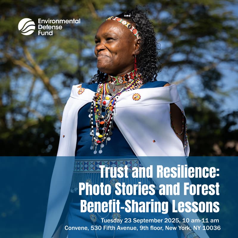 Cover Image for Photo Stories & Forest Benefit-Sharing Lessons