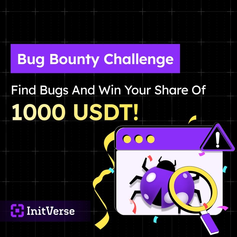 Cover Image for Bug Capture and Security Audit