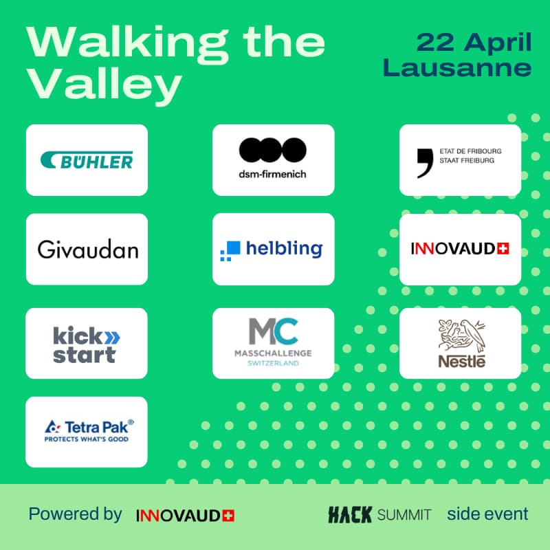 Cover Image for Walking the Valley