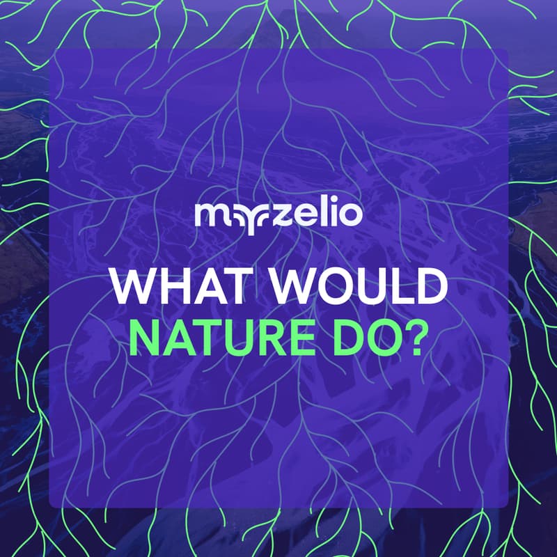 Cover Image for What Would Nature Do?