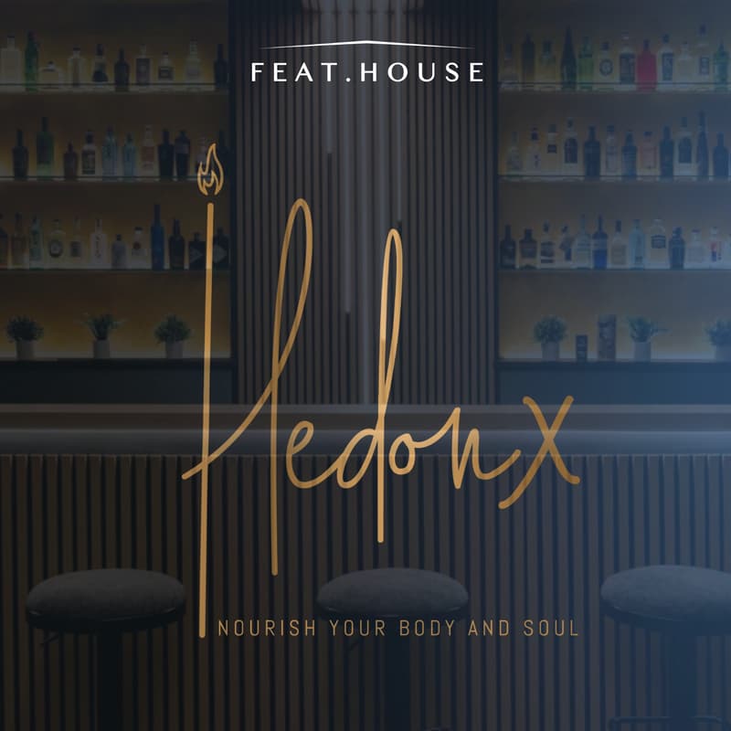 Cover Image for HedonX - The future of intimate wellness
