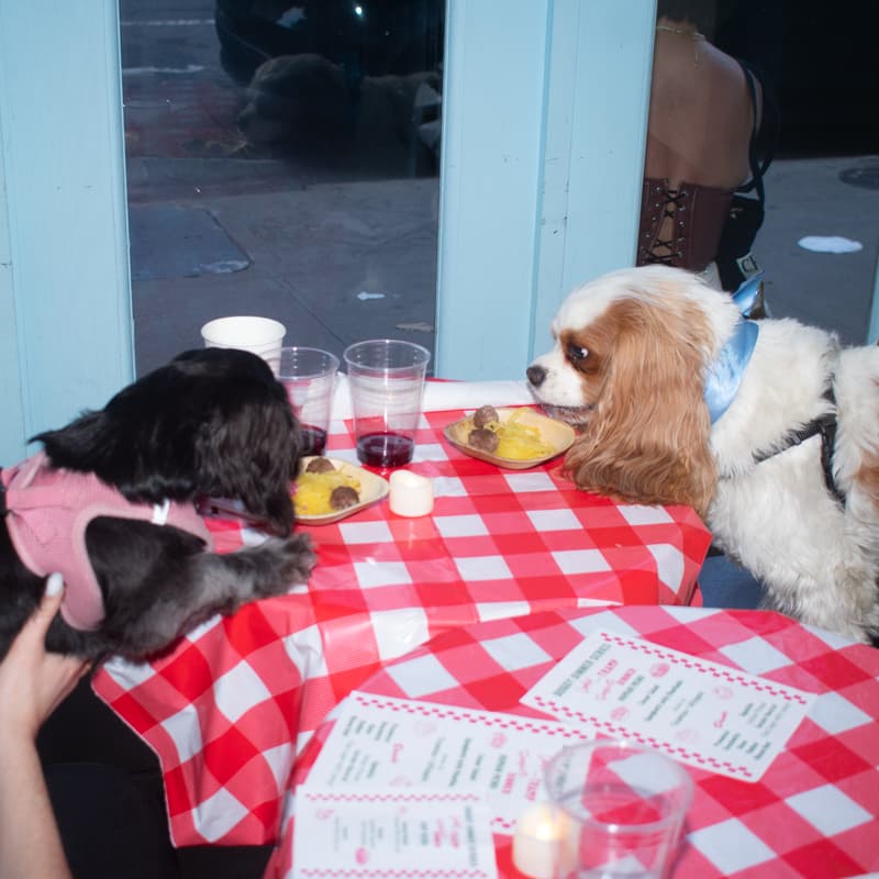 Cover Image for Bark in the Park 5K - Race Pregame Spaghetti Dinner