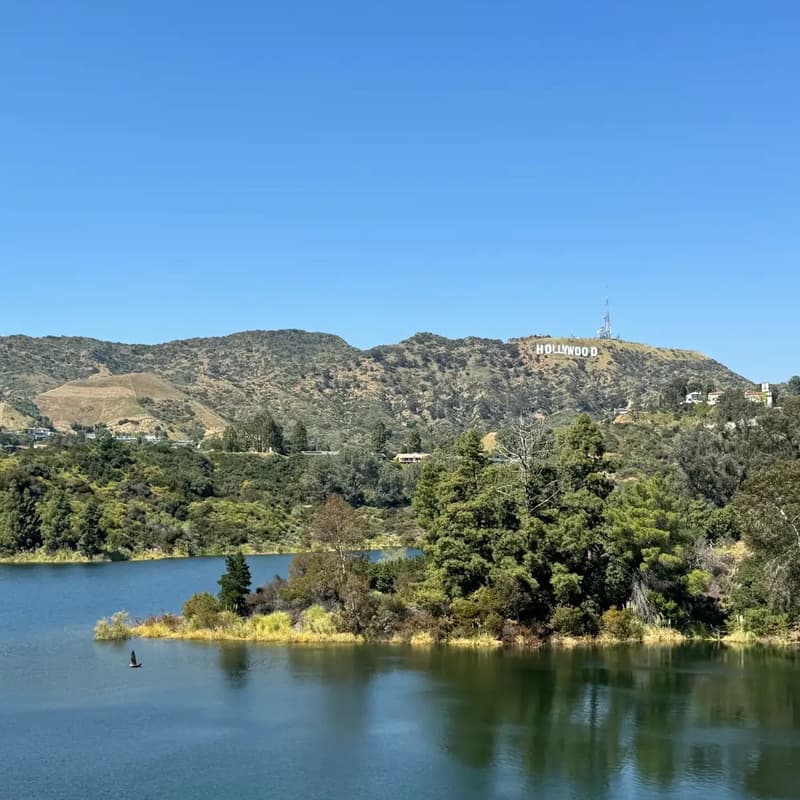 Cover Image for Hollywood Reservoir Trail Hike & Brunch