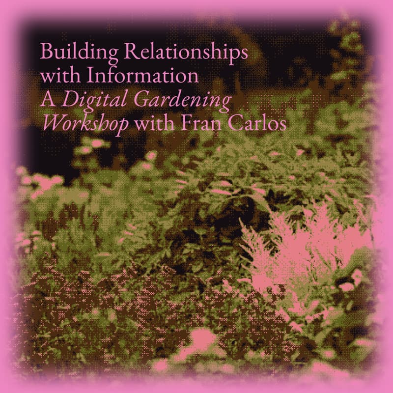 Cover Image for Building Relationships with Information: A Digital Gardening Workshop with Fran Carlos