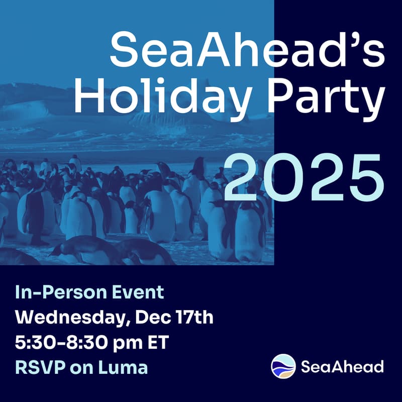 Cover Image for SeaAhead's Holiday Party