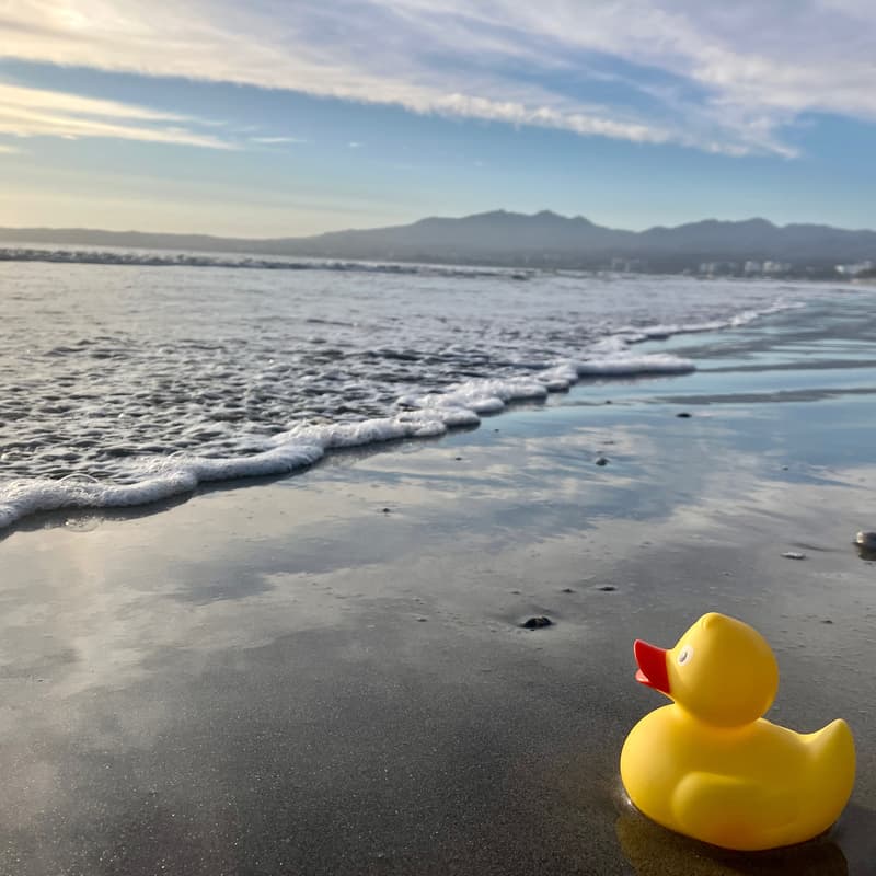 Cover Image for “Give a Duck” Charity Calendar Release Party