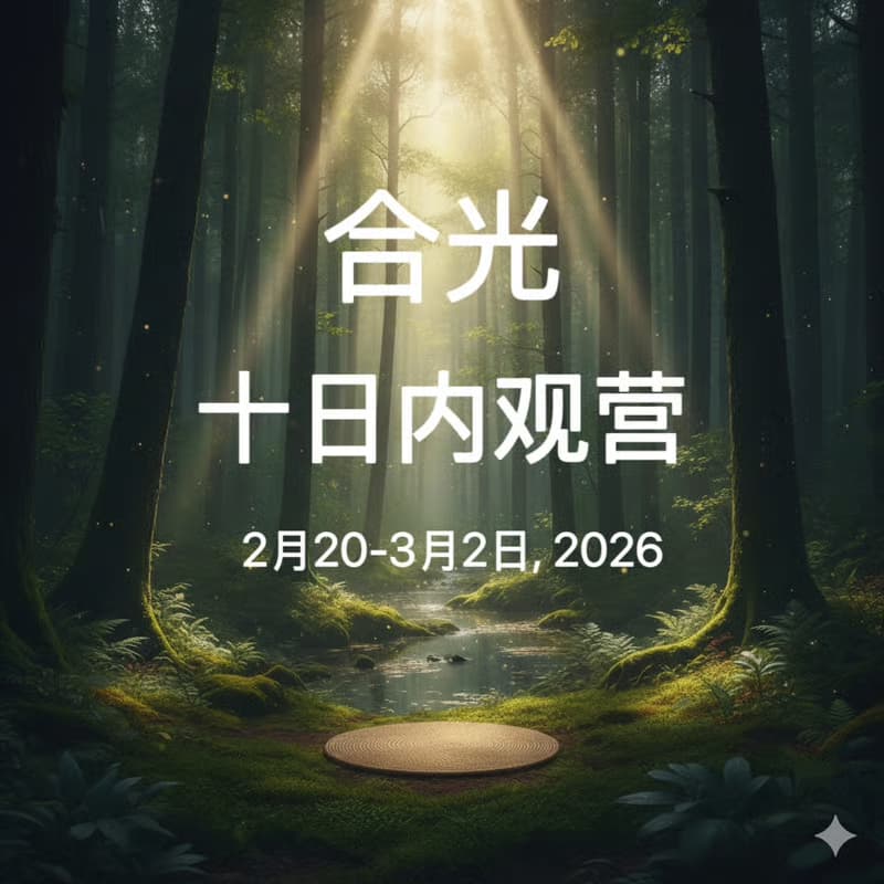 Cover Image for 合光十日内观 (Vipassana)