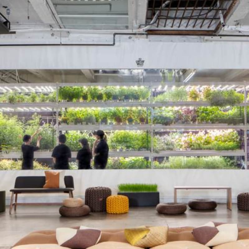 Cover Image for Community + Connection: Paces at Climate Week 🌱