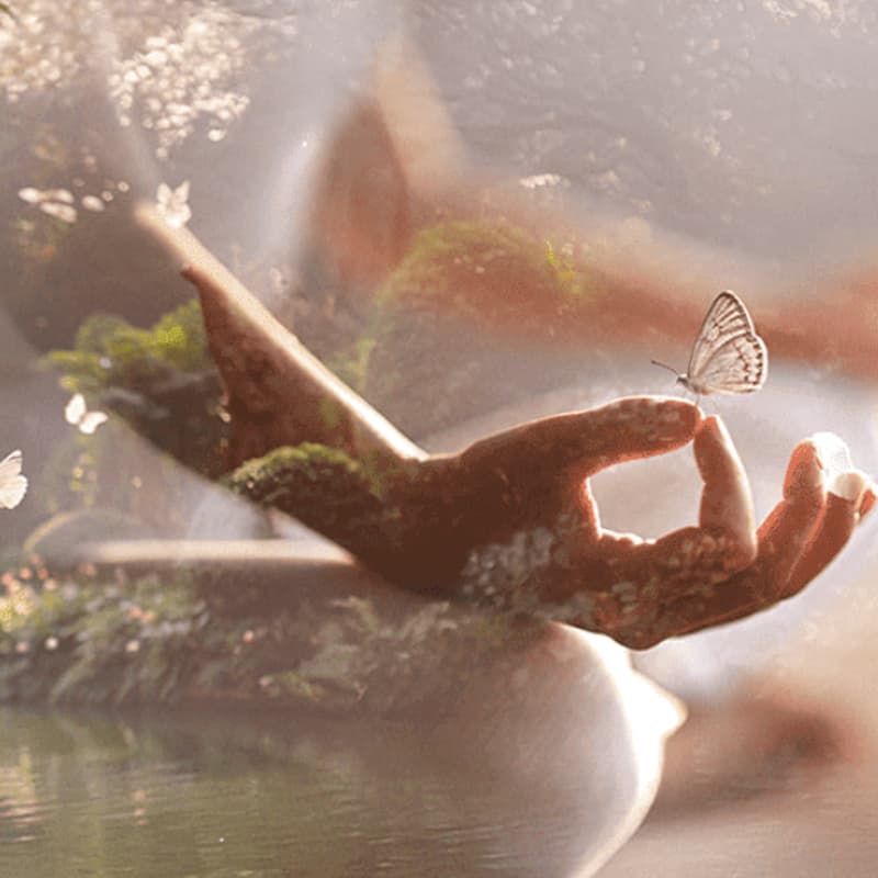 Cover Image for Jhourney: Intro to the jhanas