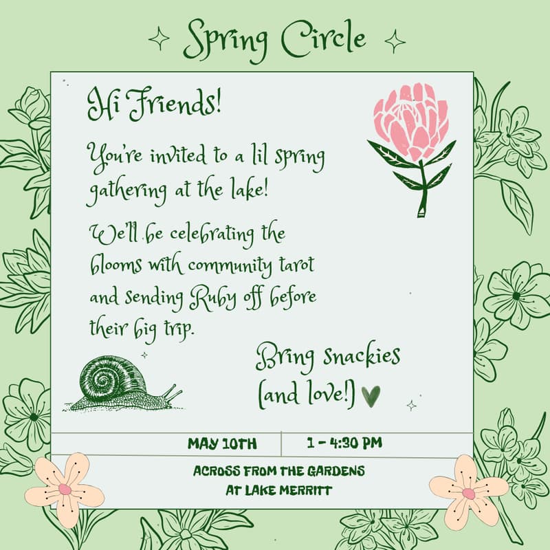 Cover Image for Spring Circle
