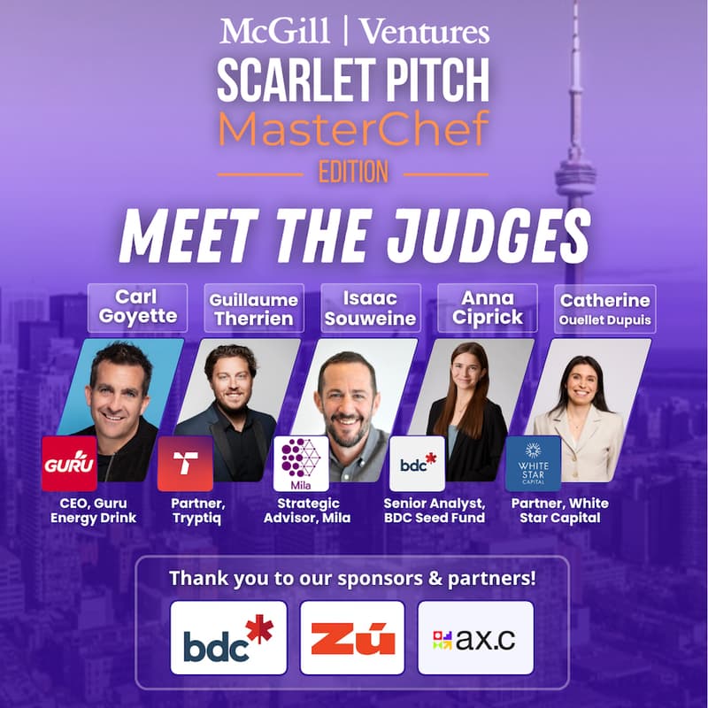 Cover Image for Scarlet Pitch