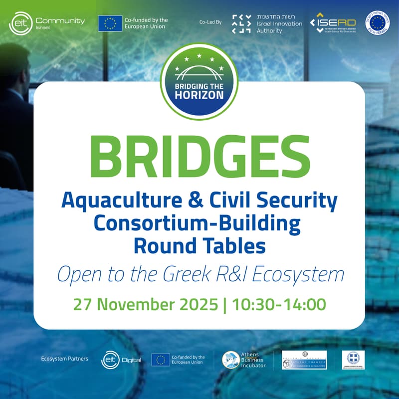 Cover Image for Bridges: Consortium-Building Round Tables
