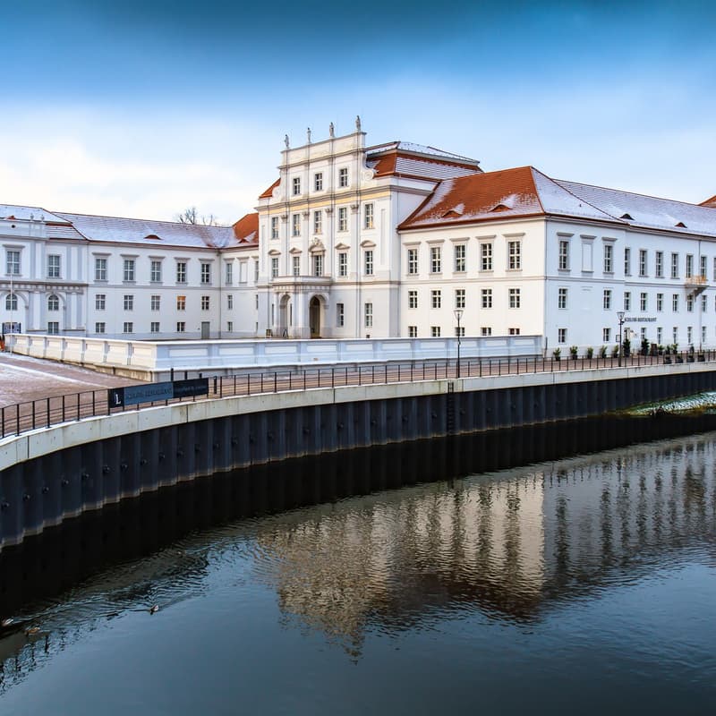 Cover Image for Day Trip to Oranienburg - Social Butterfly Club