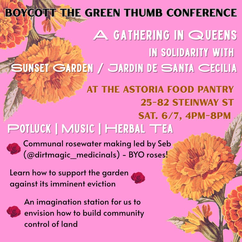 Cover Image for Making Rosewater in Solidarity with Sunset Garden