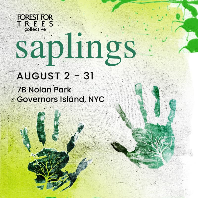 Cover Image for Saplings