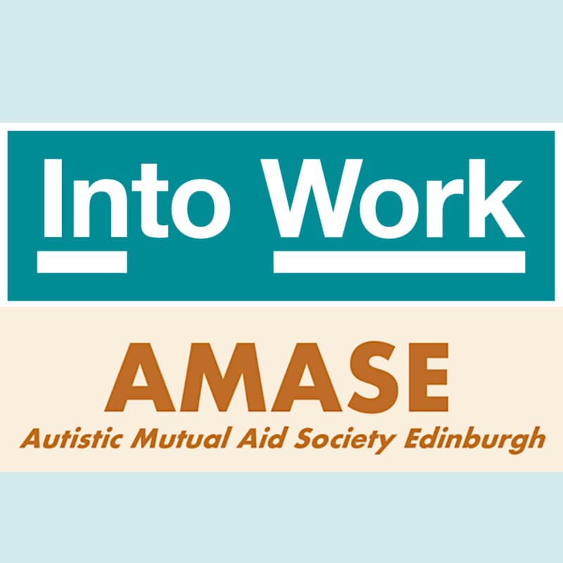 Cover Image for Income Maximisation with Into Work