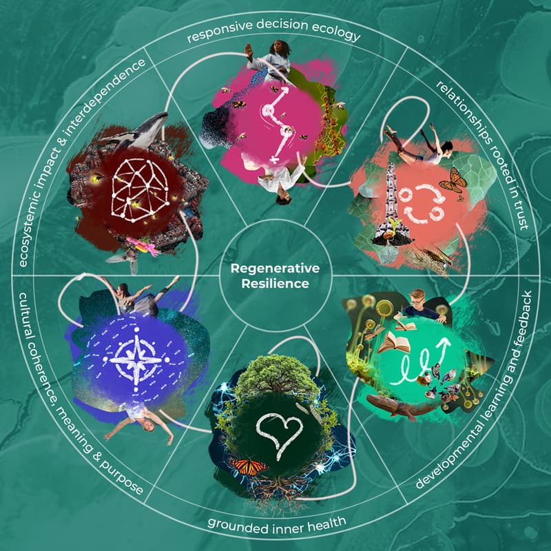 Cover Image for Infosession about the 5-week Regenerative Resilience Course