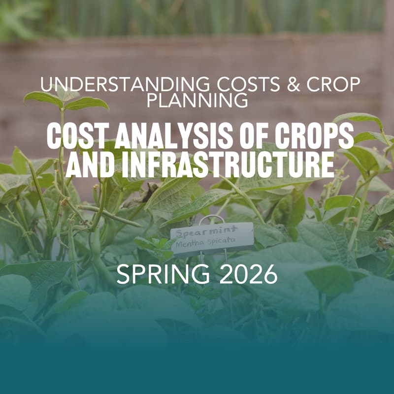 Cover Image for Understanding Costs & Crop Planning — A Workshop on Cost Analysis of Crops and Infrastructure
