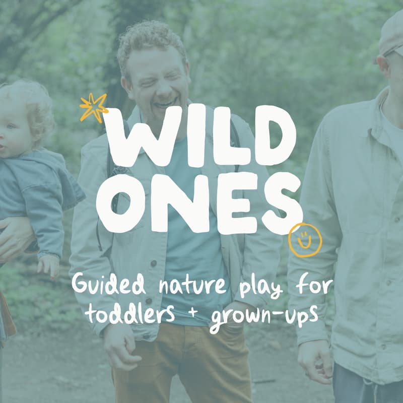 Cover Image for Wild Ones: Guided nature play for toddlers + grown-ups