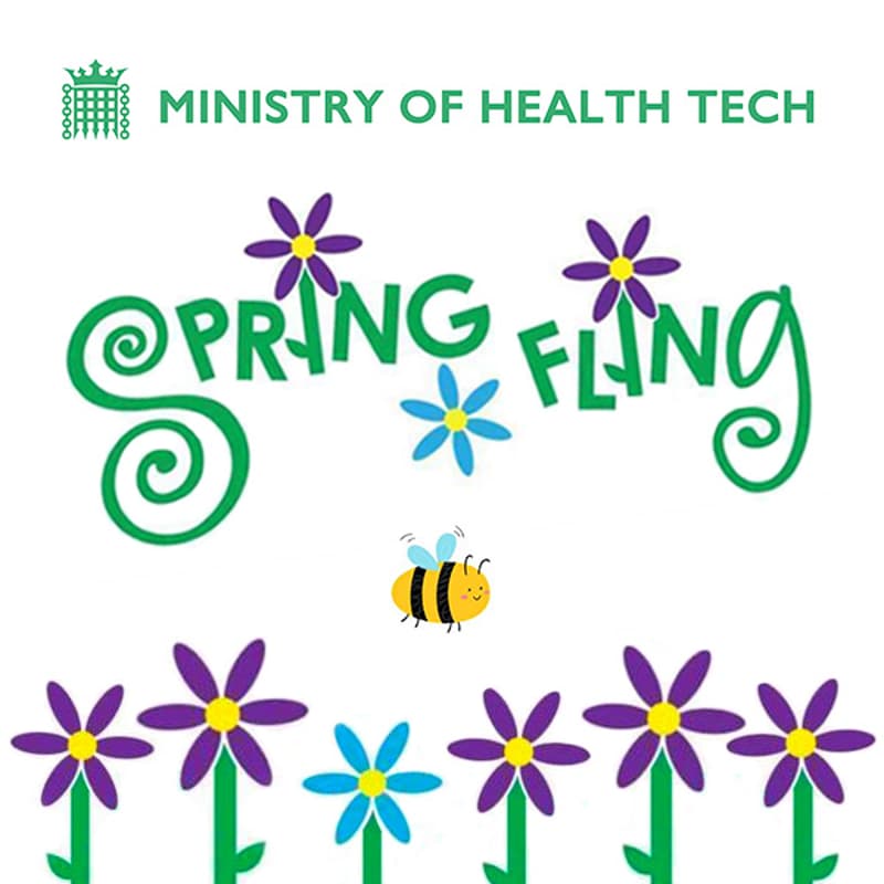 Cover Image for The Ministry Spring Fling