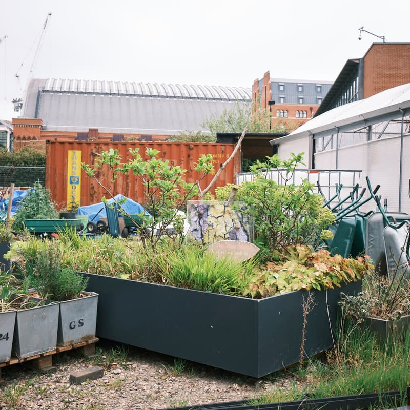 Cover Image for #12 Neighbourhood Labs: Transforming Food Systems