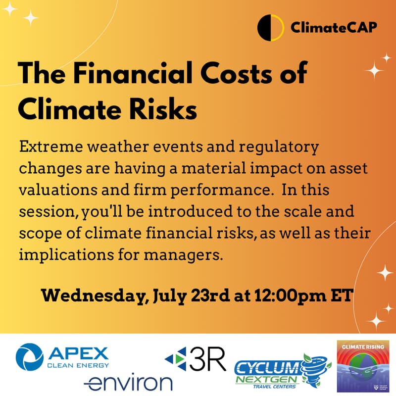 Cover Image for The Financial Costs of Climate Risks