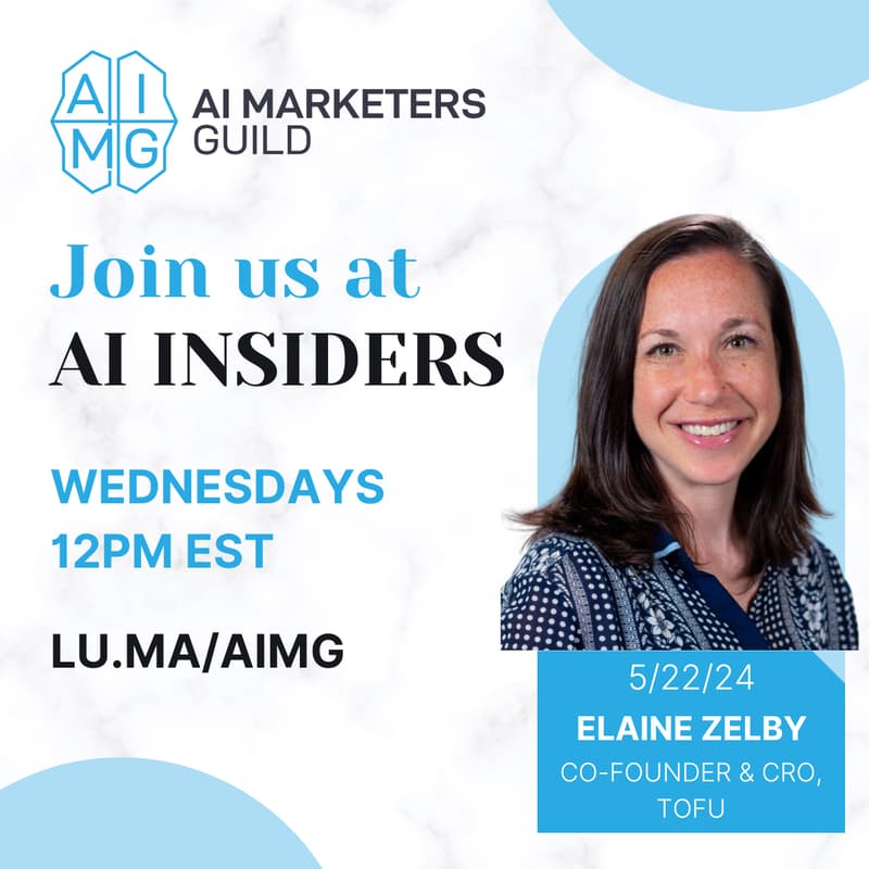 Cover Image for AI Insiders with Elaine Zelby