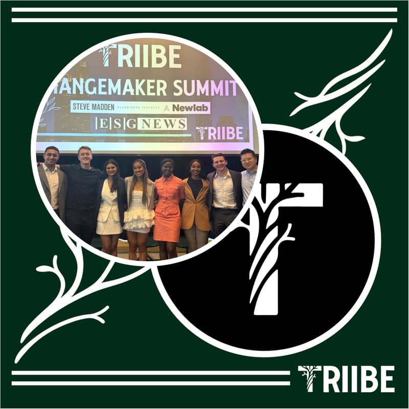 Cover Image for TRIIBE Fundraising Mixer