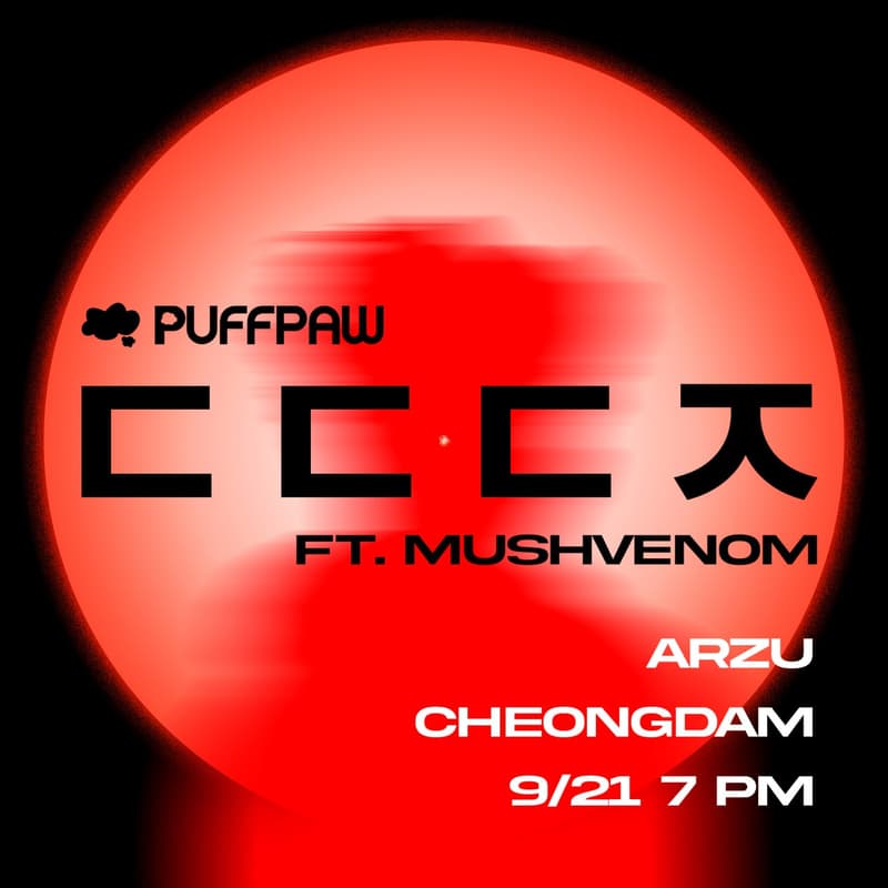 Cover Image for ㄷㄷㄷㅈ | Puffpaw