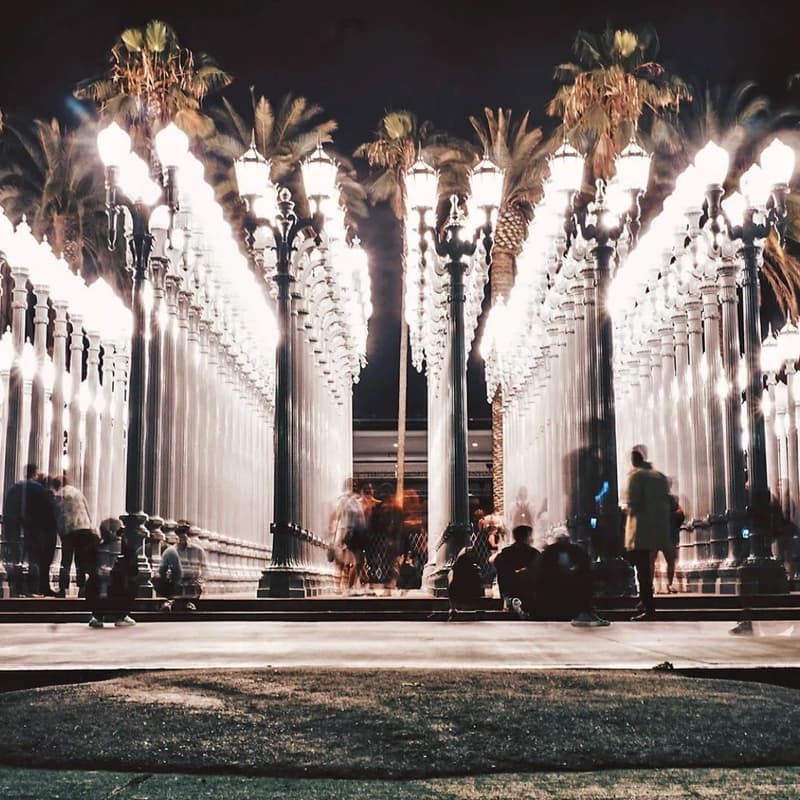 Cover Image for LACMA: Under the Lights with Rooftop Bites