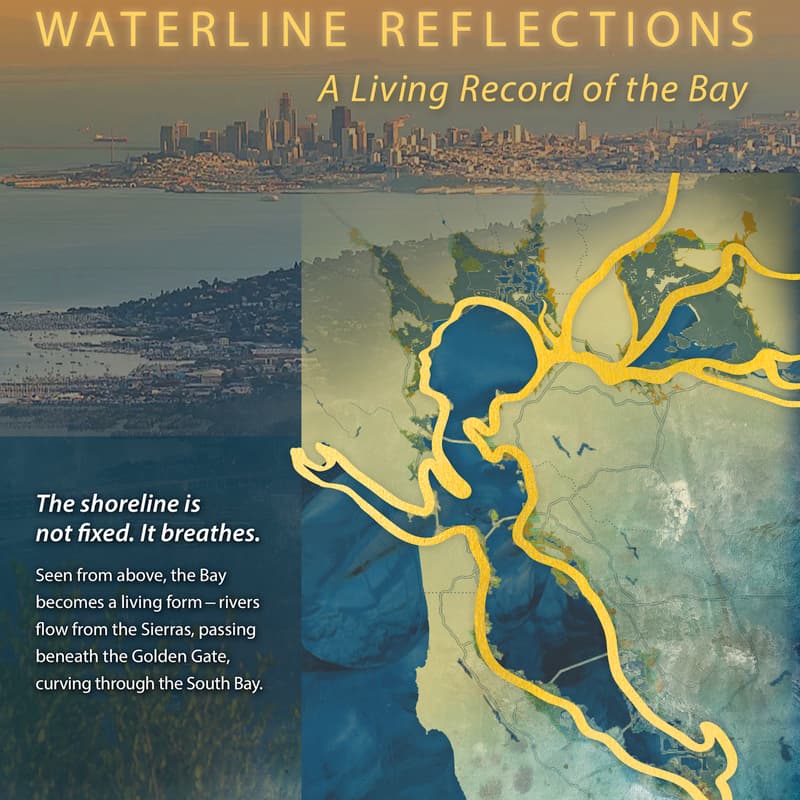 Cover Image for Earth Day Waterline Reflection Walk