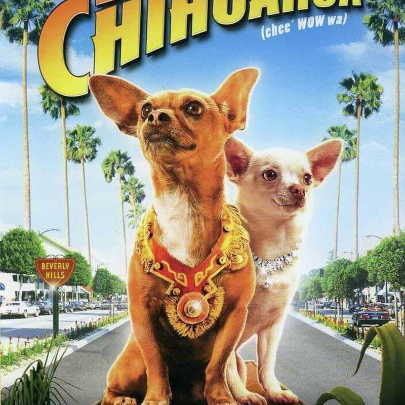 Cover Image for Fur-iday Night Flicks: Beverly Hills Chihuahua