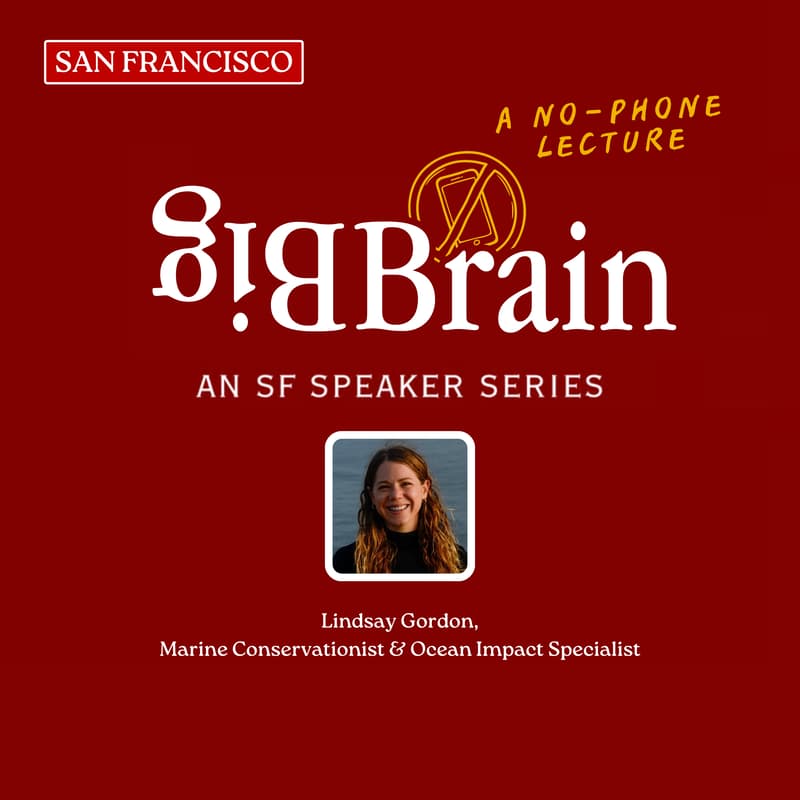 Cover Image for Beneath the Surface: What’s Really Happening in Our Oceans