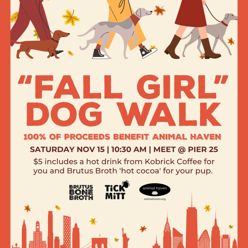 Cover Image for Fall Girl Dog Walk