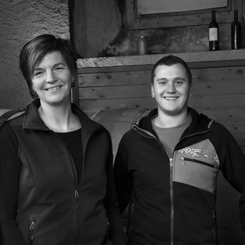 Cover Image for Winery Visit: Domaine les Hutins