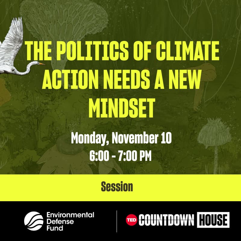 Cover Image for The politics of climate action needs a new mindset